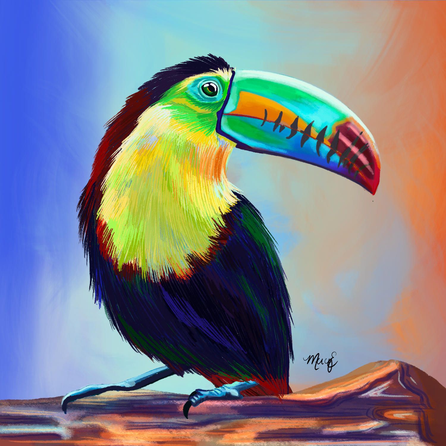 Digital Illustrations